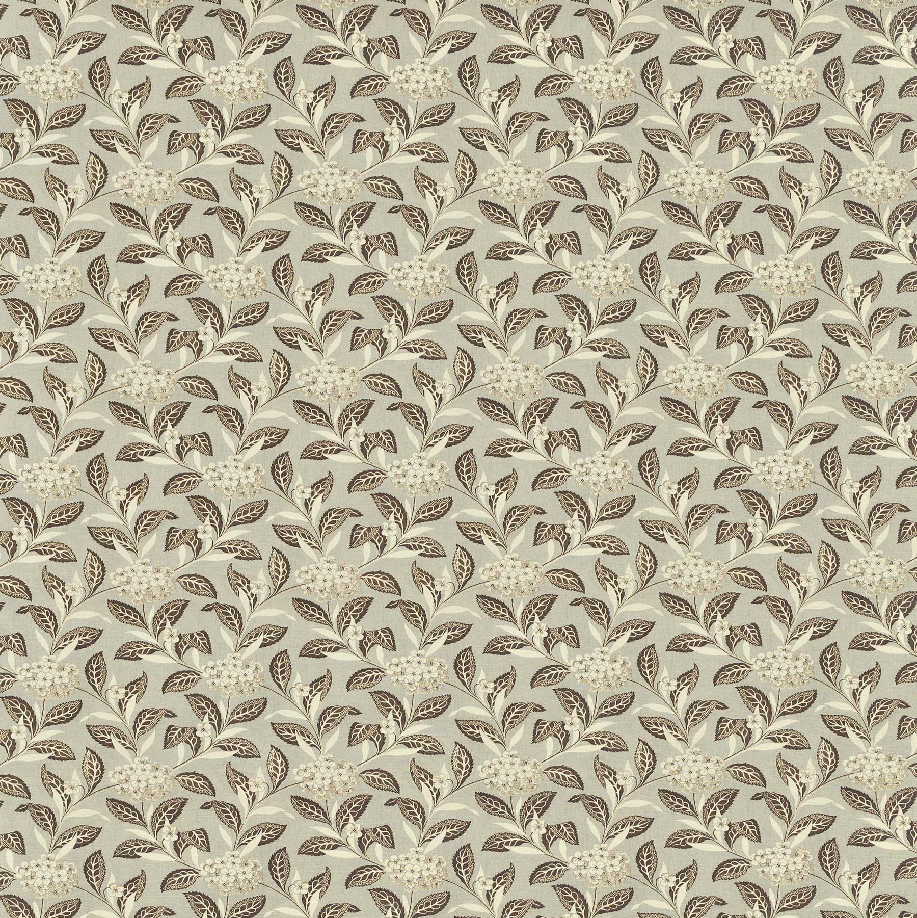 Ortensia - Brown on Celadon