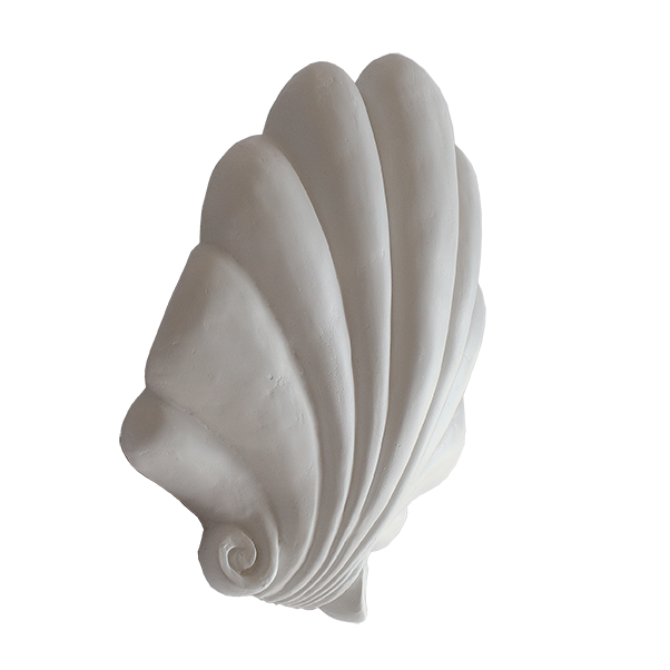 Yves Scallop Shell Sconce