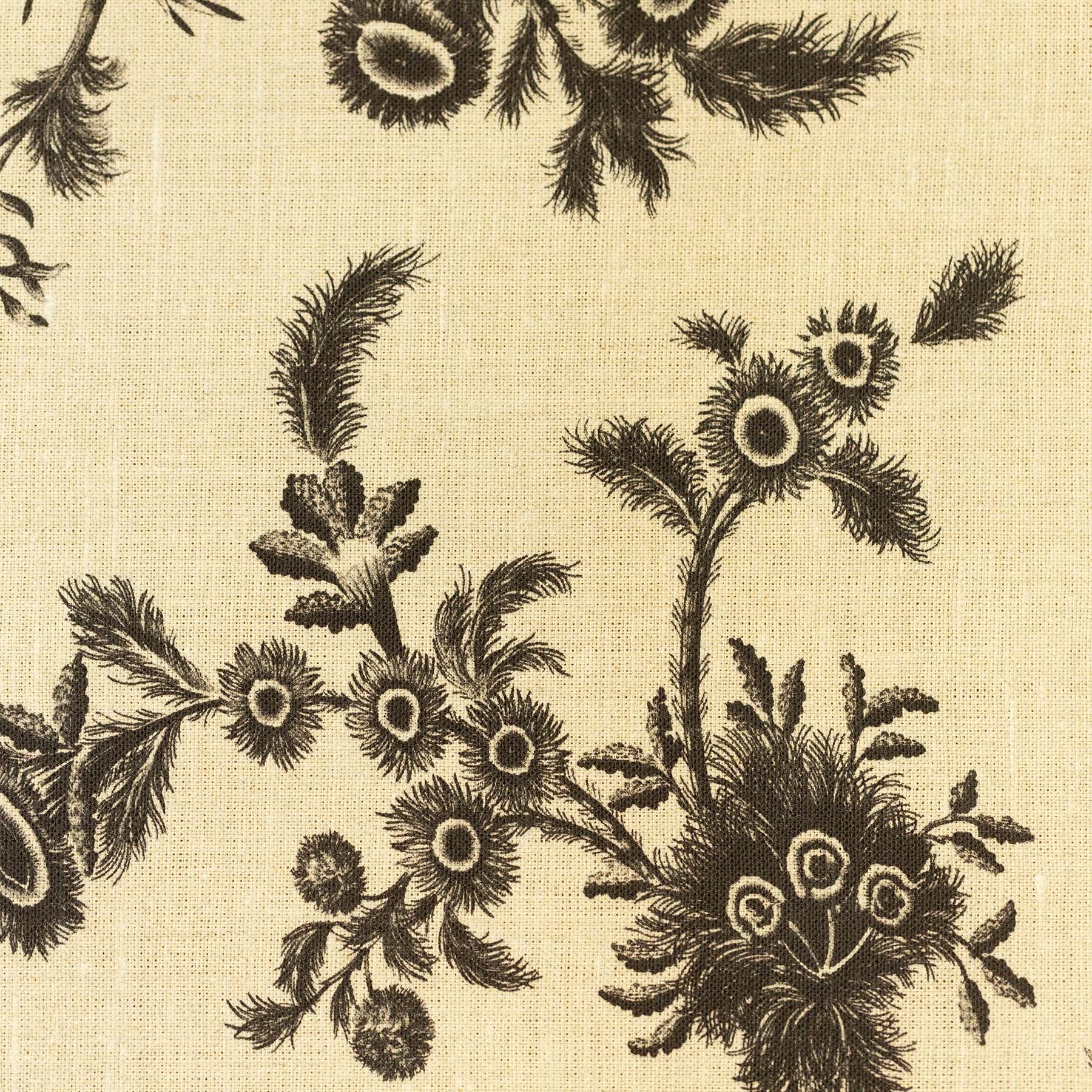 Plumes - Black