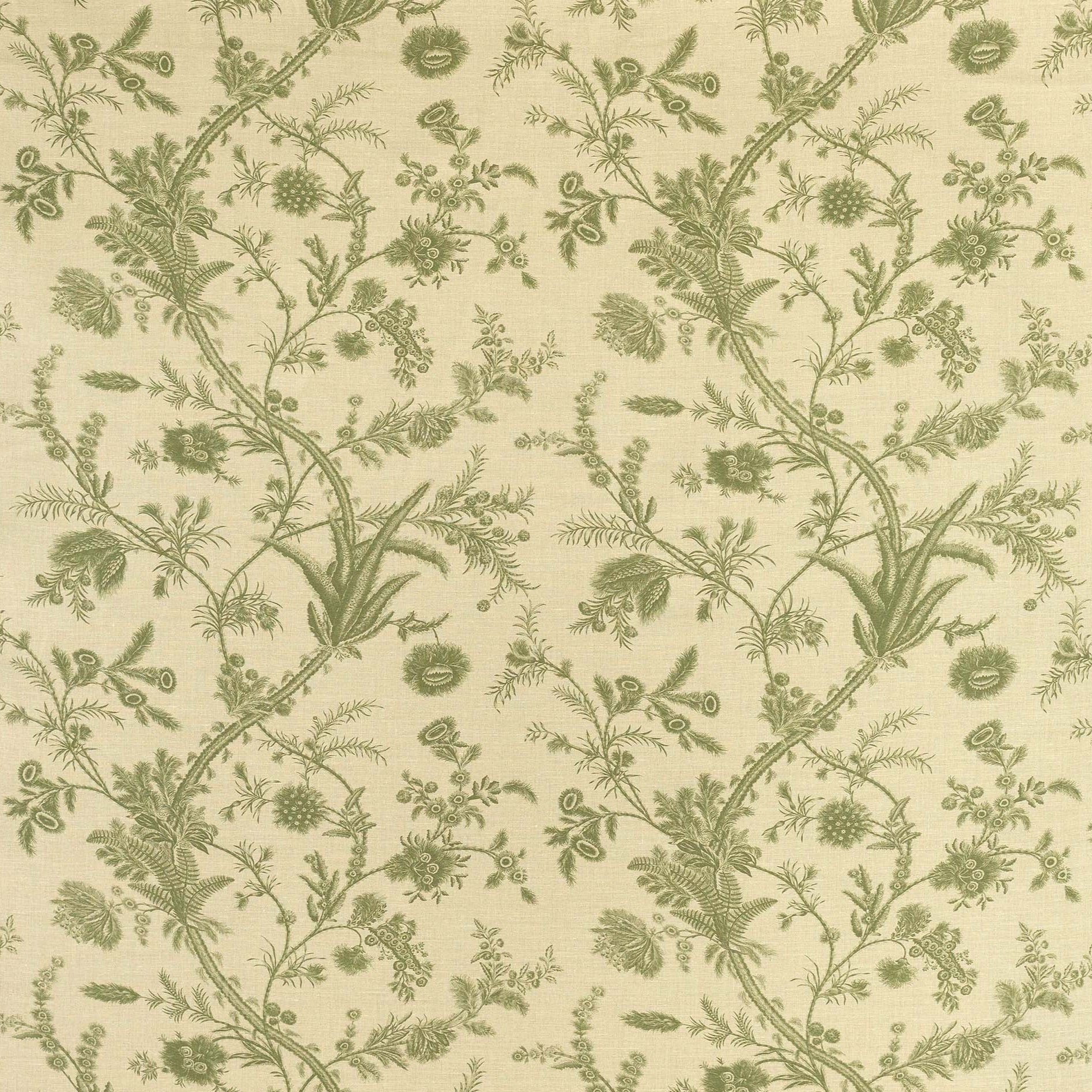 Plumes - Green
