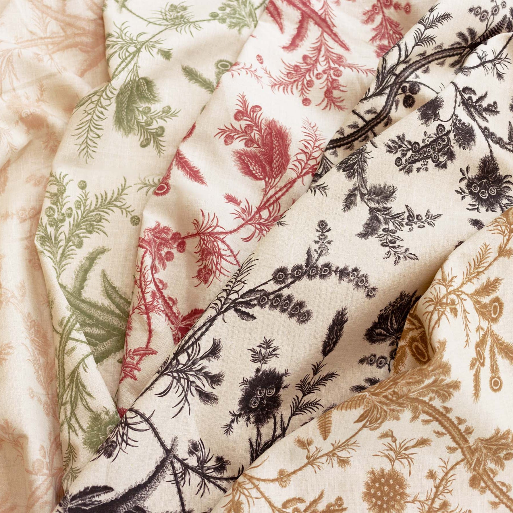 Plumes - Antique Pink