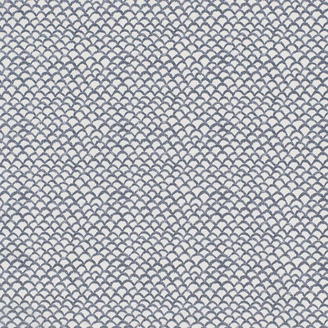 Roche - Blue