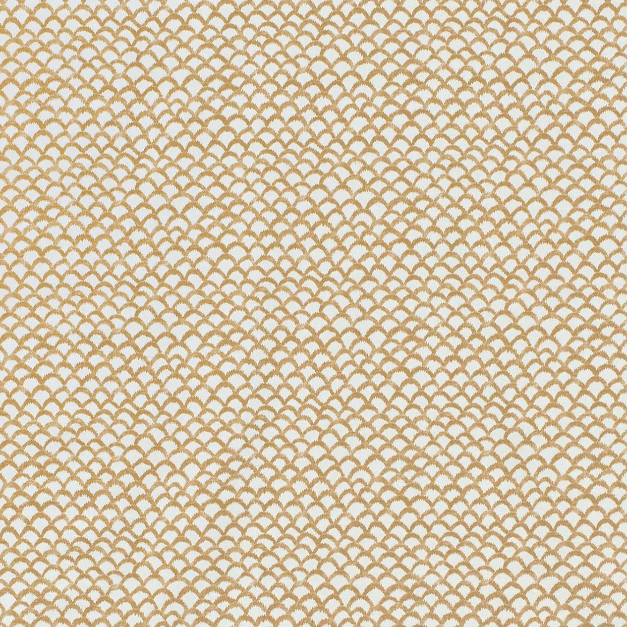 Roche - Ochre