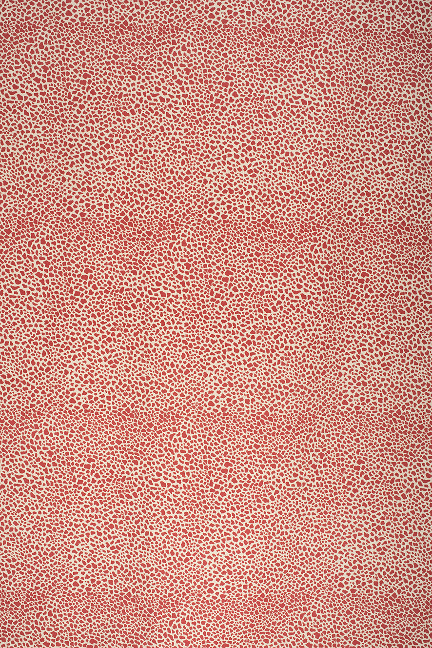 Safari Cotton &#8211; Crimson