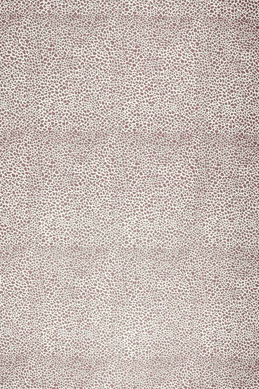 Safari Cotton &#8211; Dark Taupe