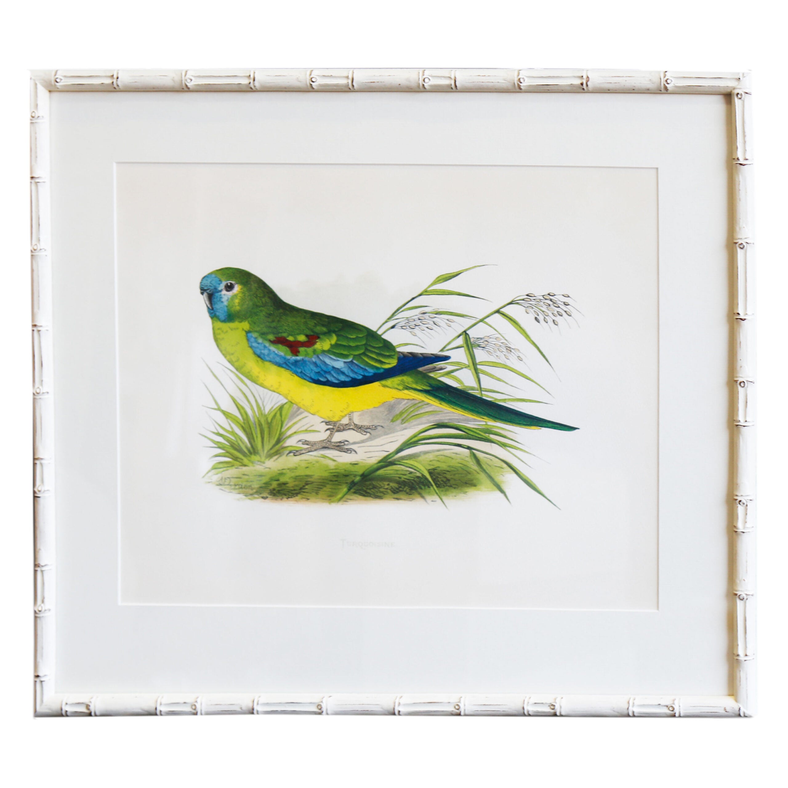 Turquoisine Artwork
