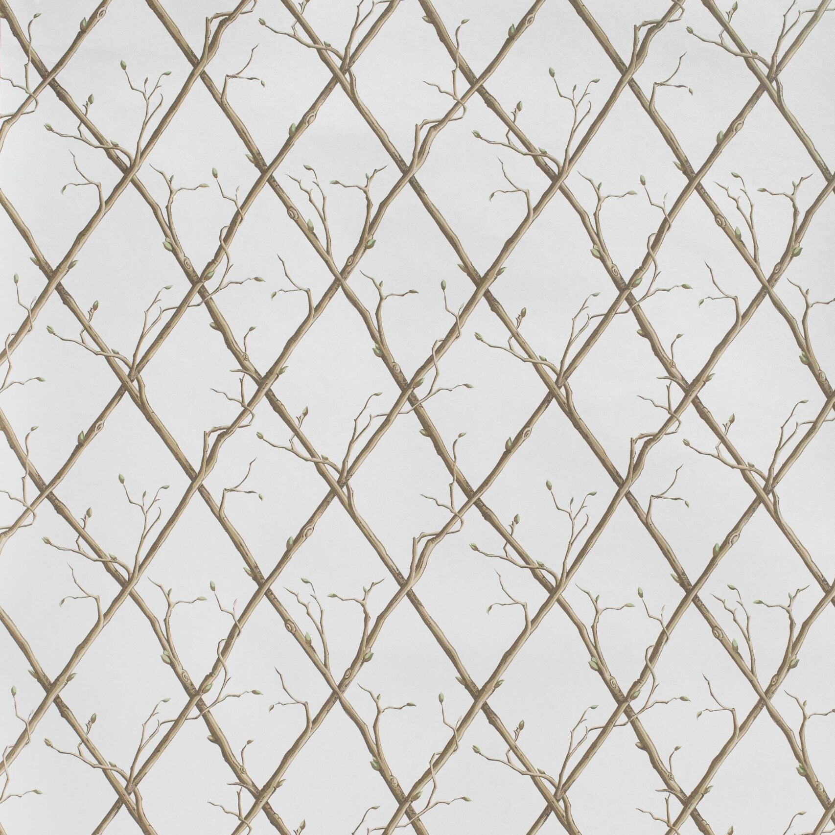 Twig Trellis Wallpaper - Brown