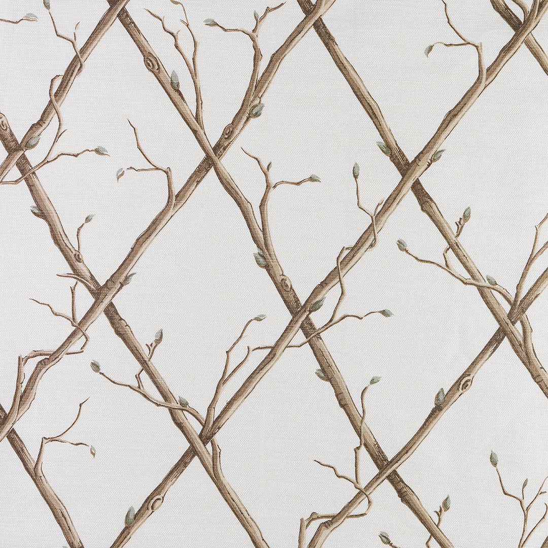 Twig Trellis Brown on White