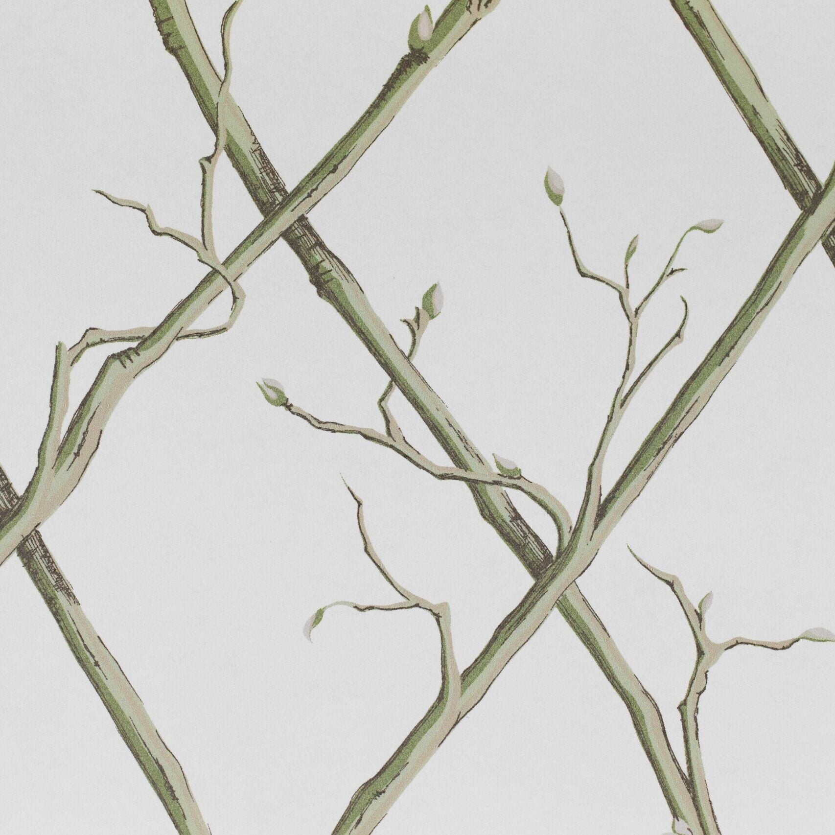 Twig Trellis Wallpaper - Green