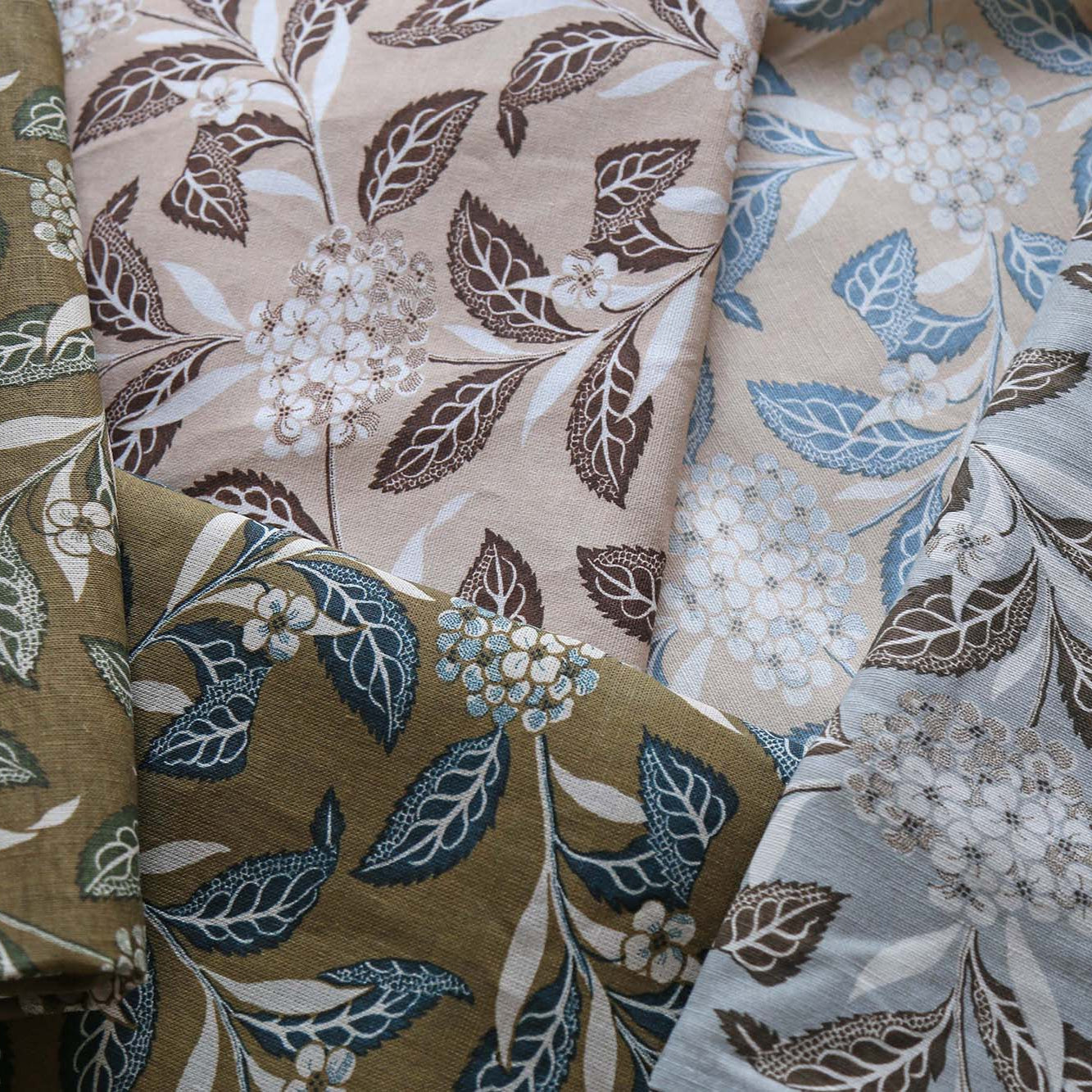 Ortensia - Brown on Celadon