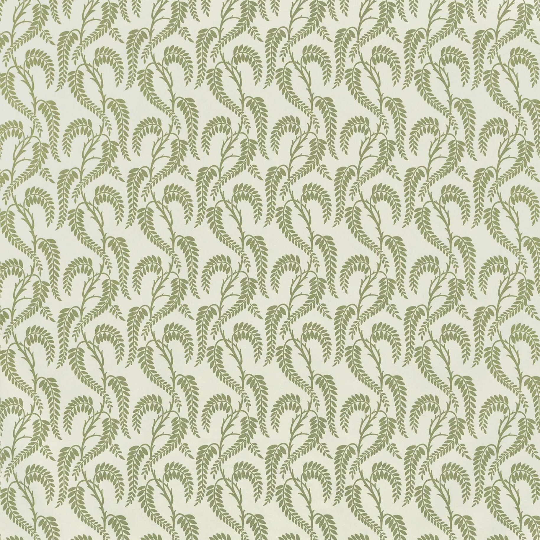 Wisteria - Sage on White