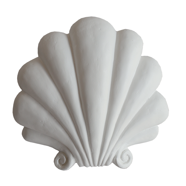 Yves Scallop Shell Sconce
