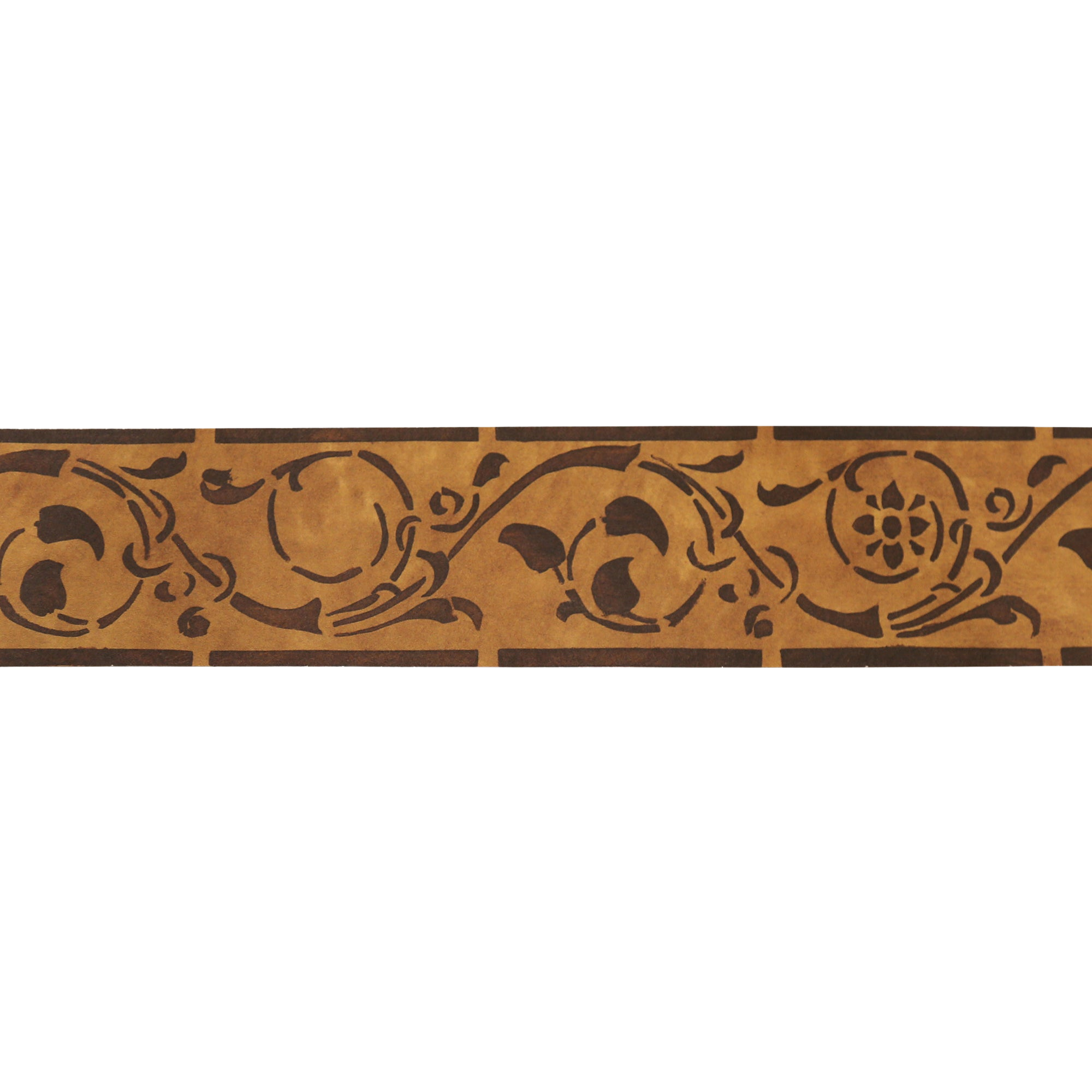 Border Edera_WS