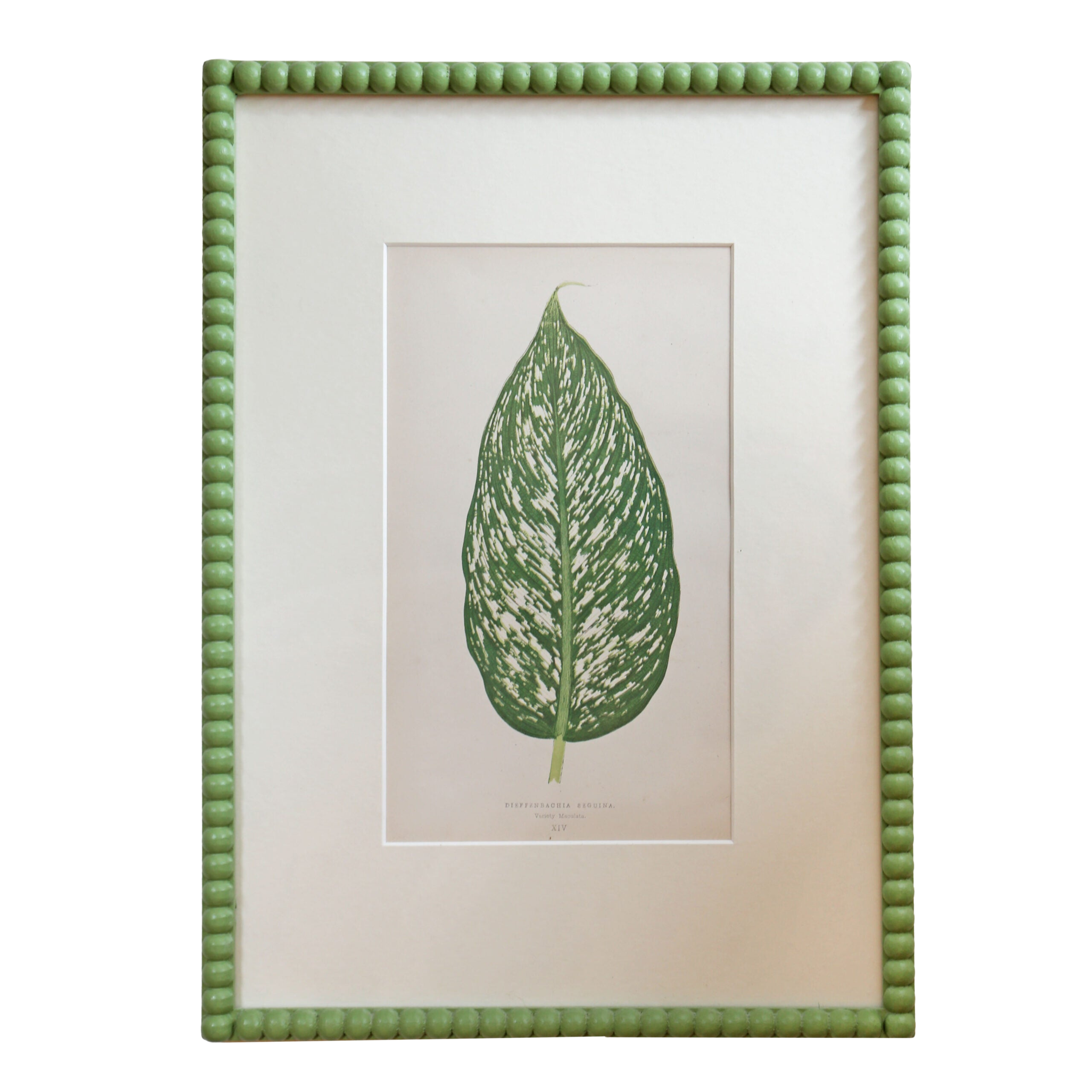 Leaf Artwork IV - Green Frame