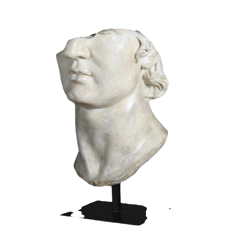 Fragment of Apollo Head