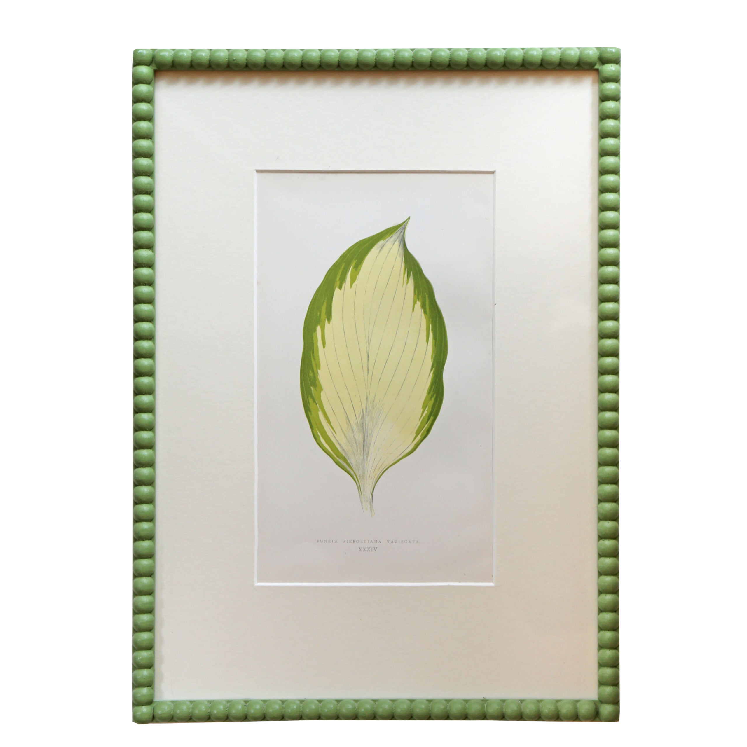 Leaf Artwork I - Green Frame