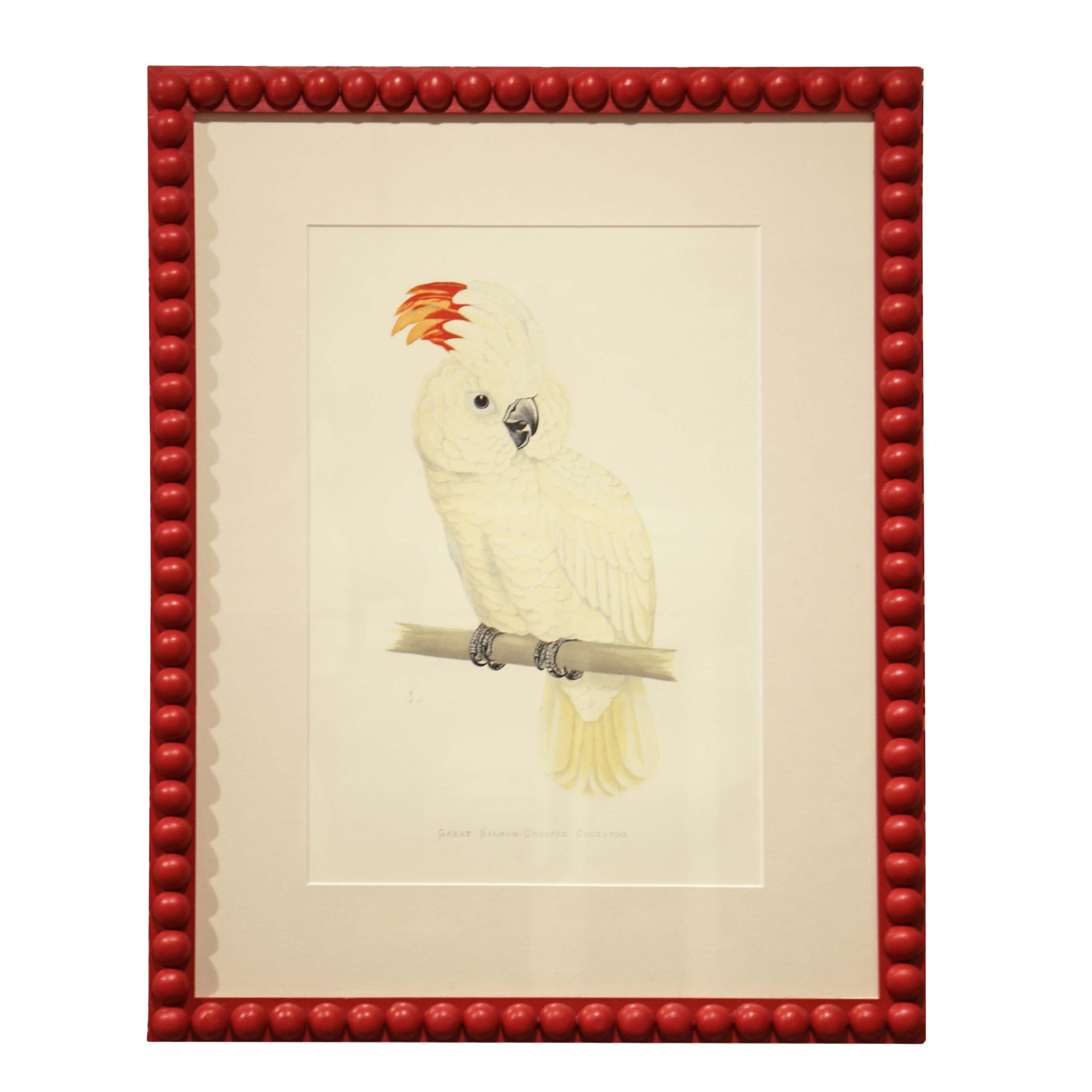 Great Salmon Crested Cockatoo - Red Frame
