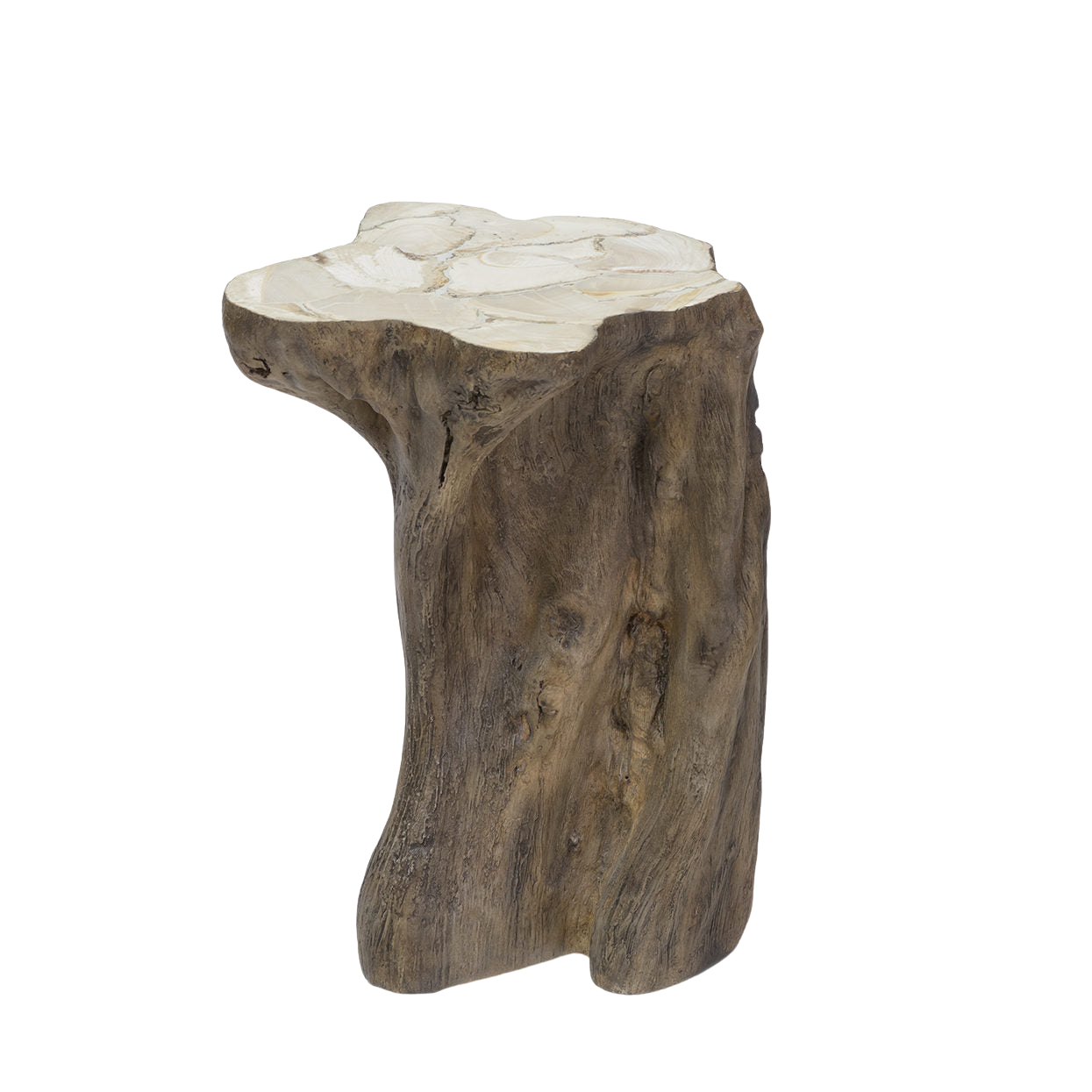 Chloe Fossilized Clam Stump Table