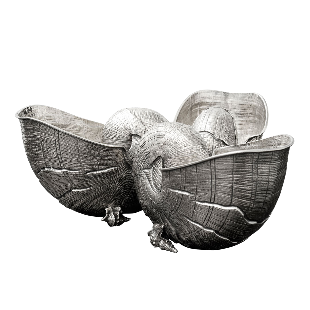 Nautilus 3 Shells Centerpiece